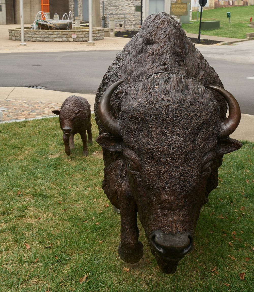                         Sam McKinney's 2018 sculptures of a buffalo and her calf in Maysville, Kentucky's, Limestone Park   …