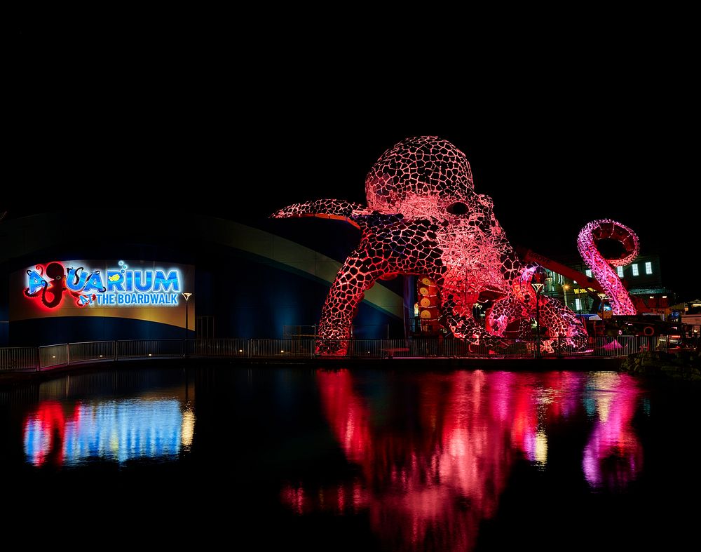                         Nighttime view of the Branson Aquarium and its signature outdoor giant octopus figure in Branson…