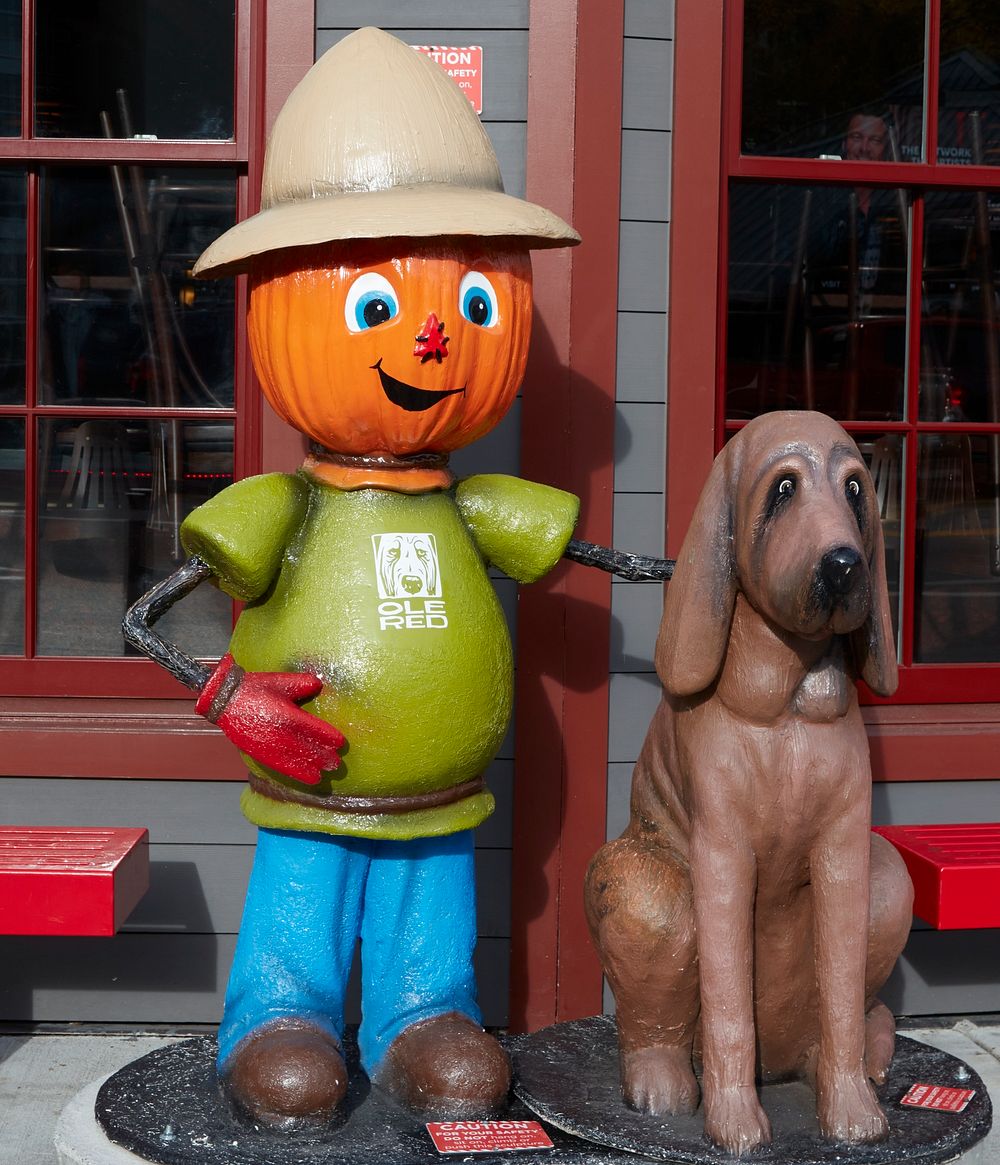                         One of several Thanksgiving-season pumpkin characters makes an appearance on the street in…