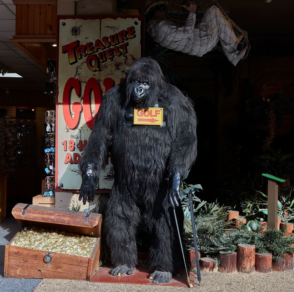                         The connection between this creature and a golf attraction is unclear in Gatlinburg, a small city in…
