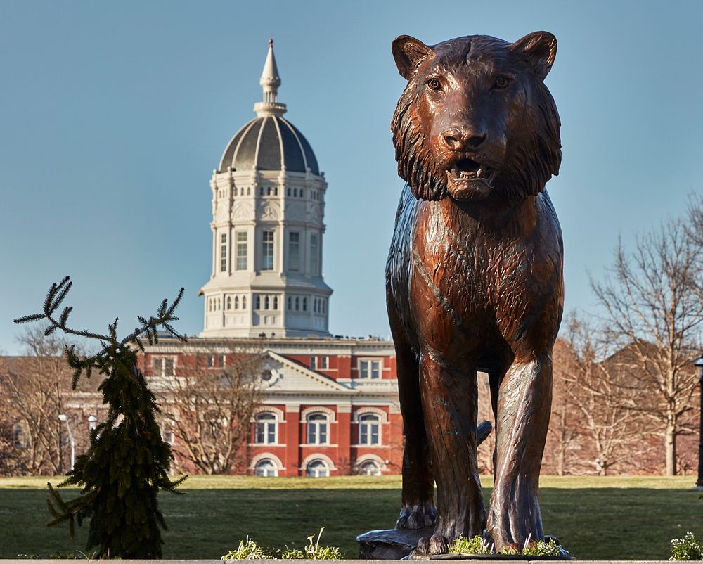                         Sculpture of Truman the Tiger, the sports mascot at the University of Missouri in Columbia          …