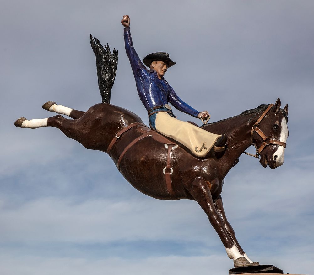                         This shiny, colorful statue of a "bronco buster" rides high outside the Fort Pierre train depot in…