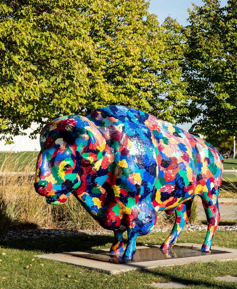                         A colorfully painted buffalo, or American bison, outside he F-M Visitors Center, which occupies a…