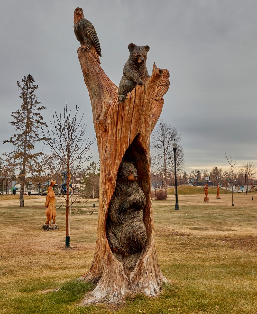                         This is one of many intricate carvings in Harmon Park in Williston, the principal city in northwest…