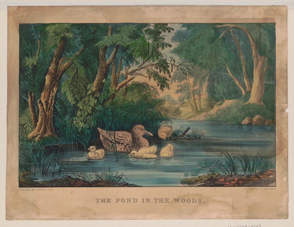 The pond in the woods, Currier & Ives.