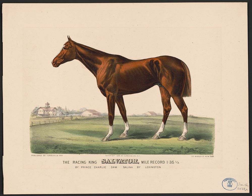 The racing King salvator, mile record 1:35 1/2: by Prince Charlie  Dam Salina by Lexington, Currier & Ives.