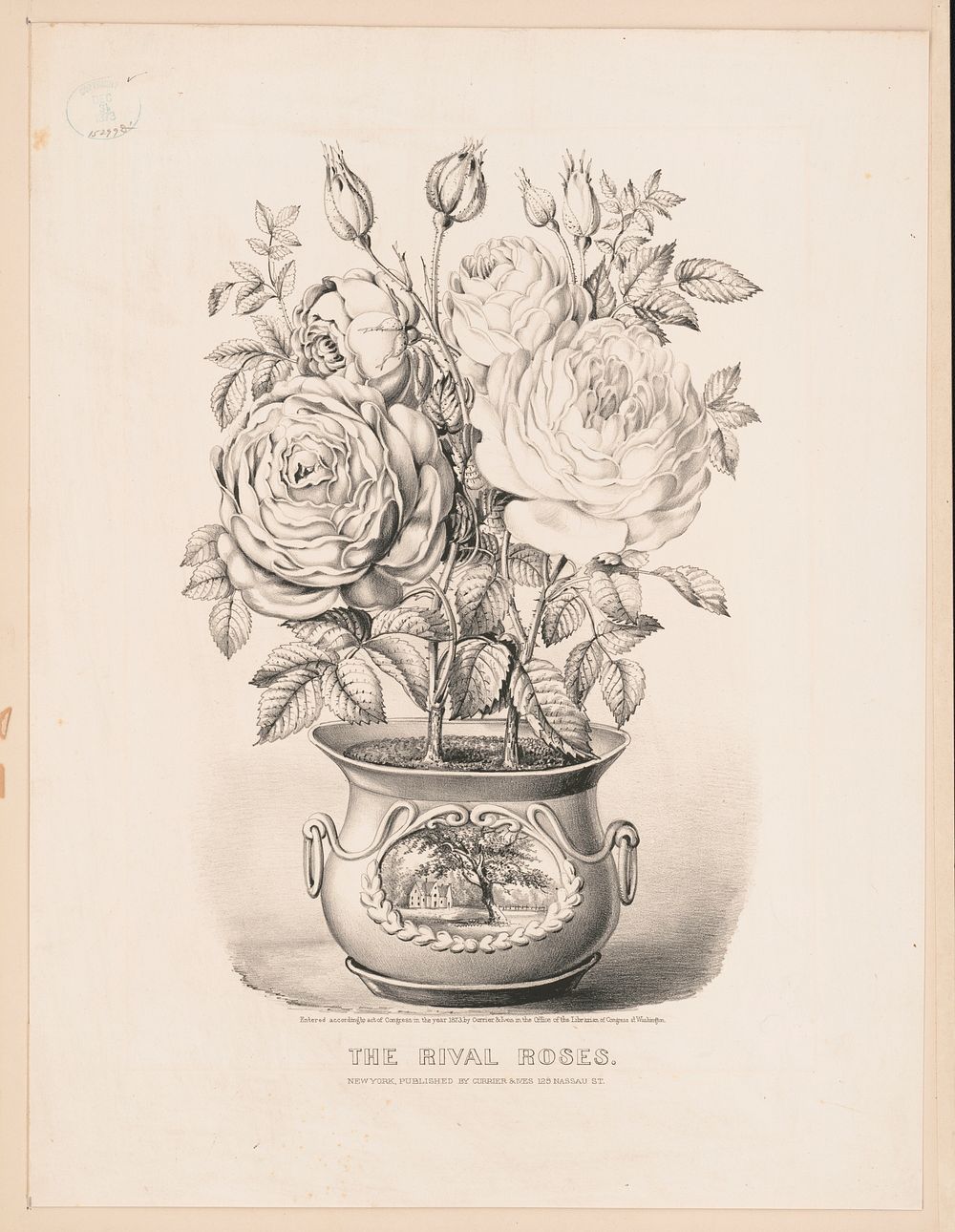The rival roses, Currier & Ives.