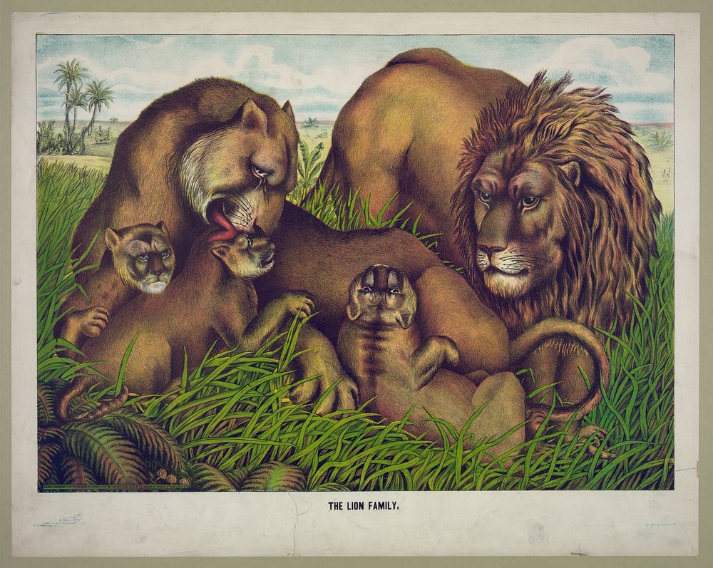 The lion family, c1874