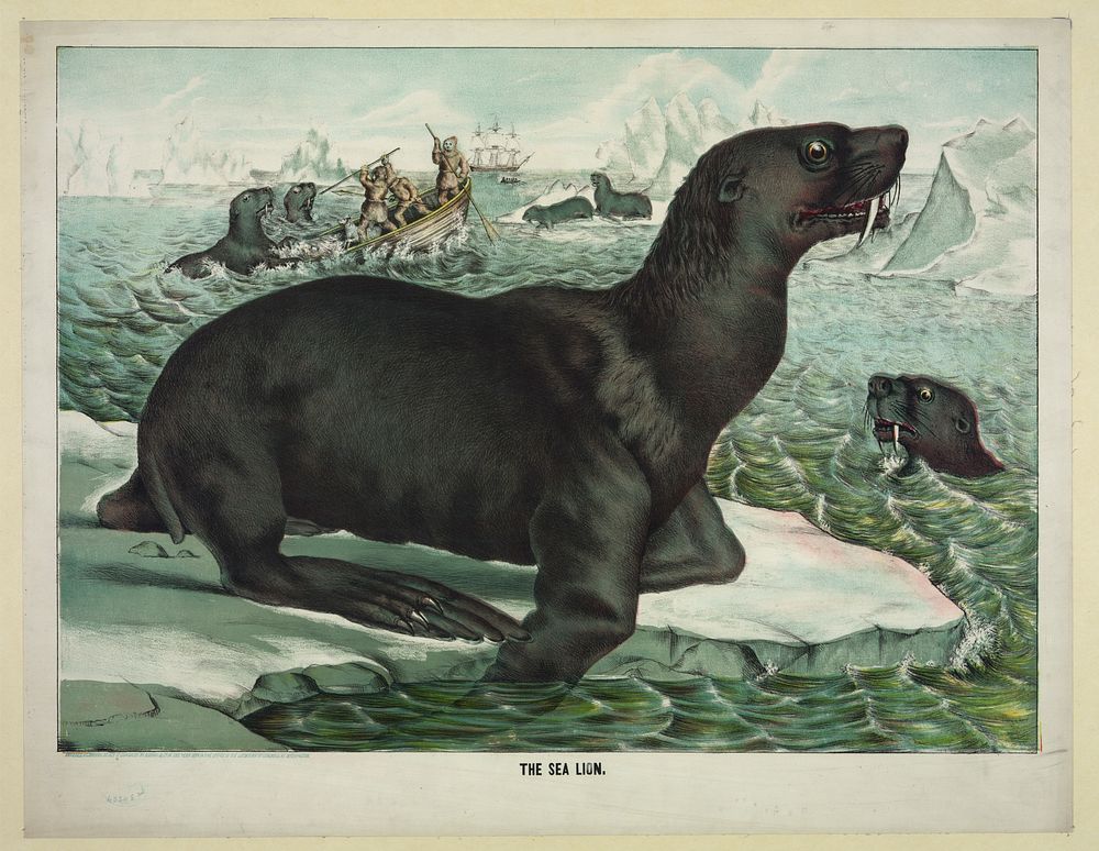 The sea lion, c1874.