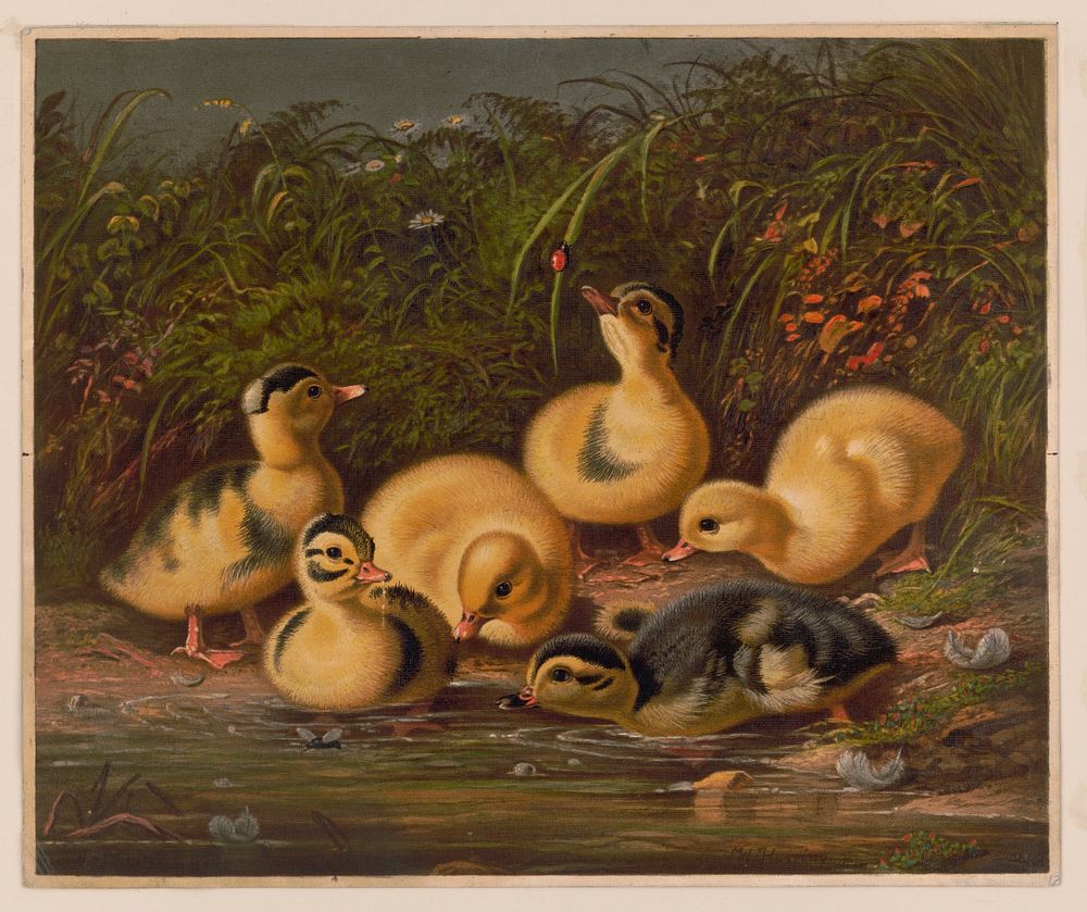 Ducklings, c1866.