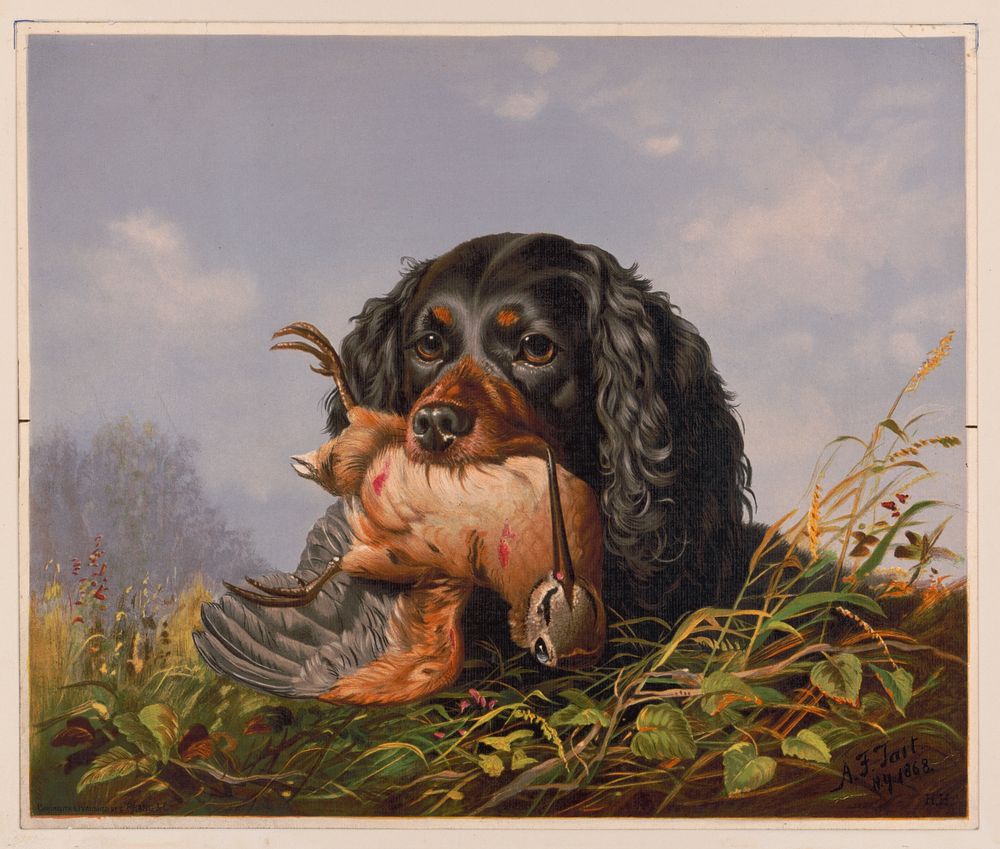 Spaniel and Woodcock, c1869.