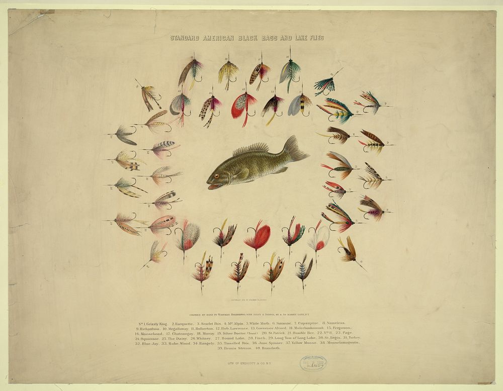 Standard American black bass and lake flies, c1883 Dec. 3.