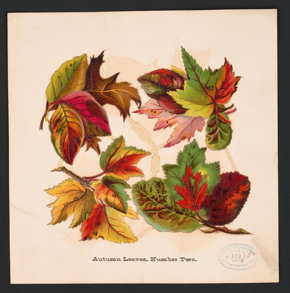 Autumn leaves, no. two, L. Prang & Co., publisher