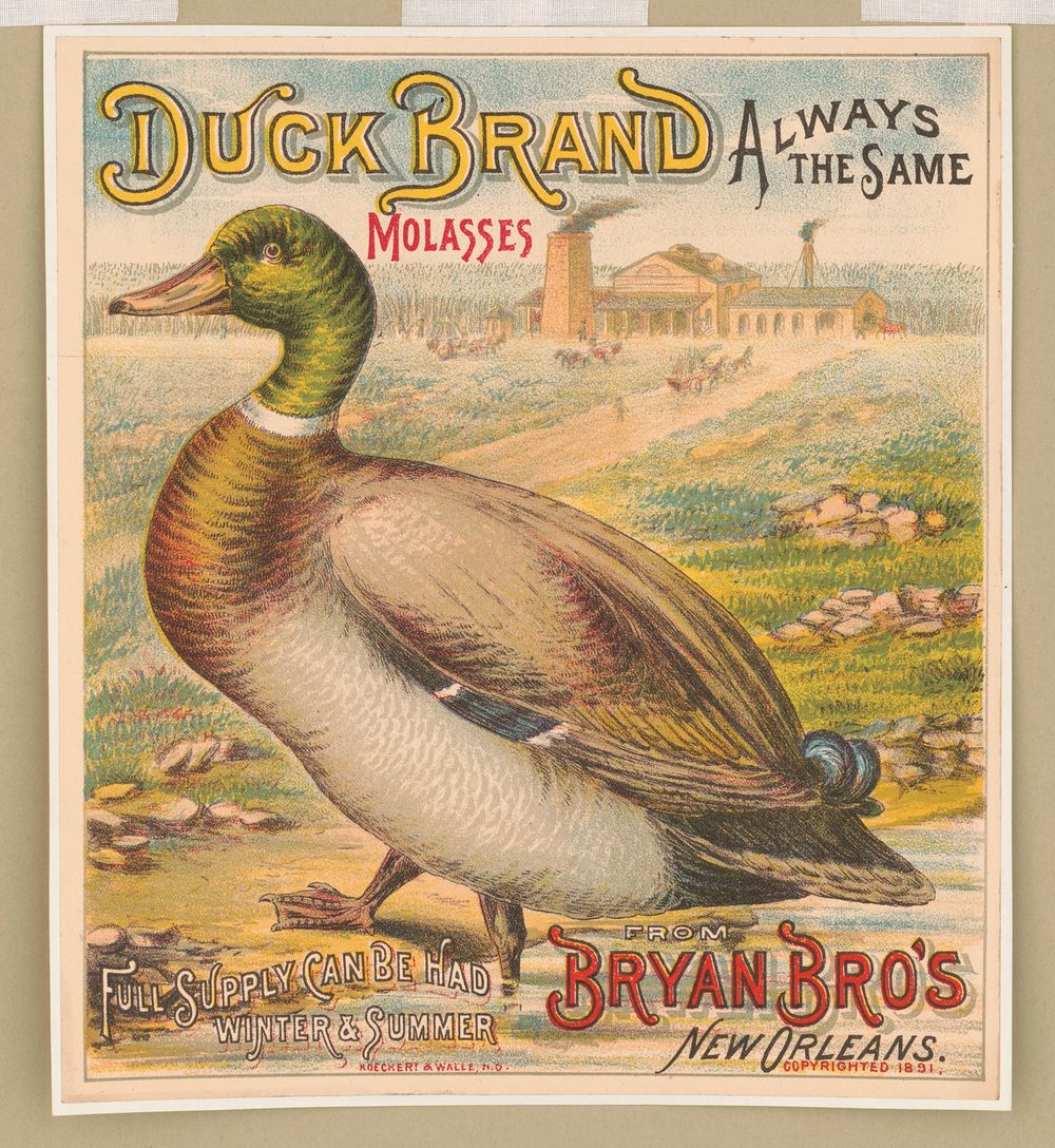 Duck brand molasses. Bryan Bro's New Orleans, c1891.