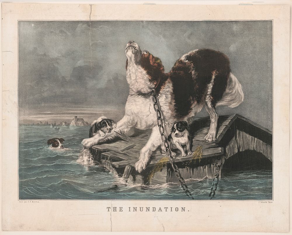 The inundation