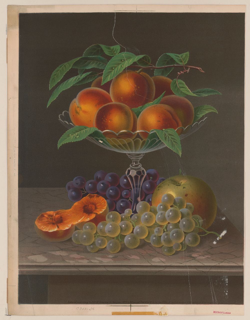 Fruit no. 1, Edmund Foerster & Co., publisher