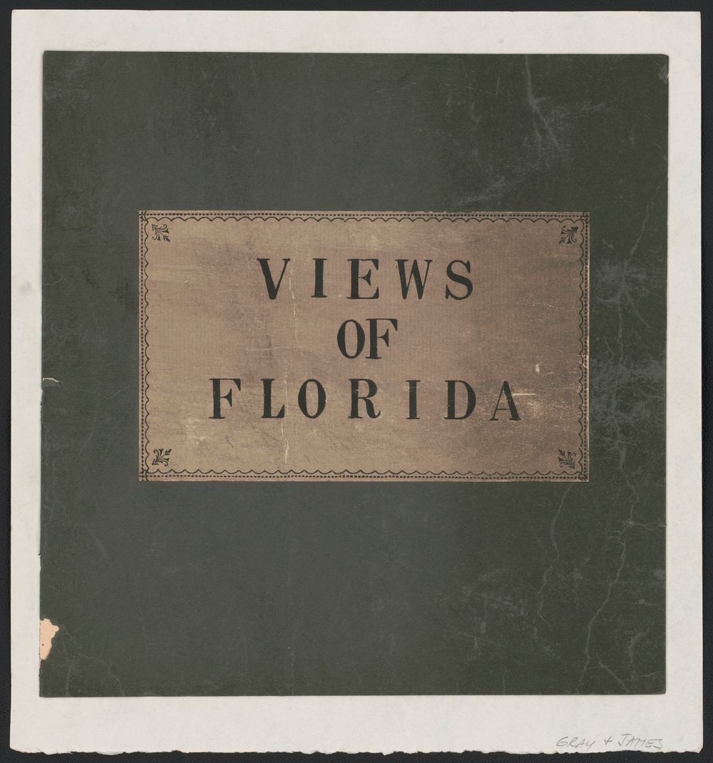 Views of Florida