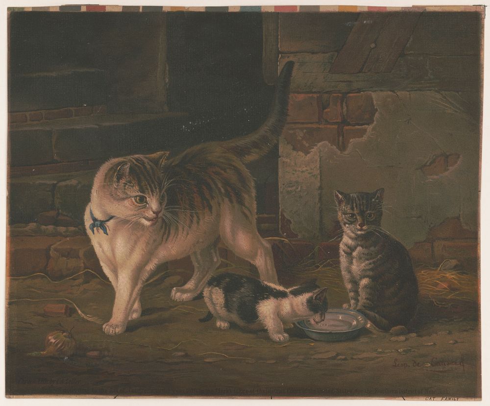 Cat family, c1870.