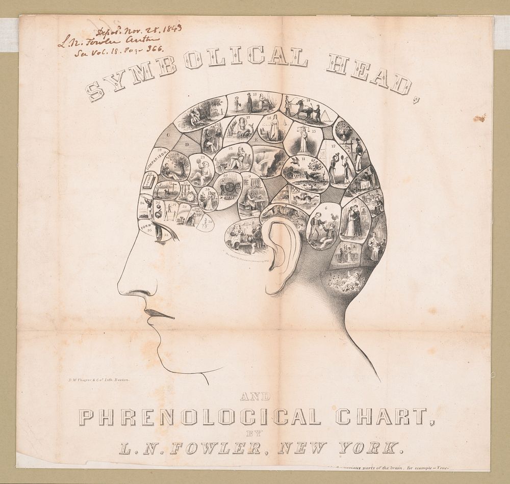 Symbolical head, and phrenolgicical chart