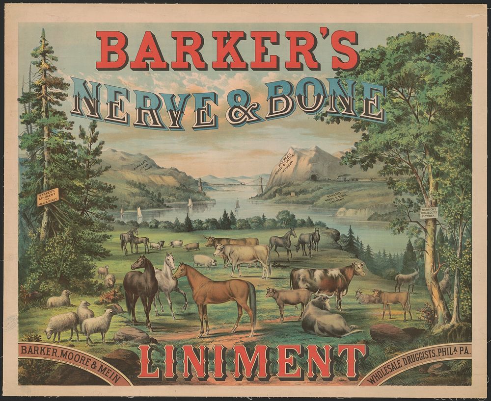 Barker's nerve & bone liniment