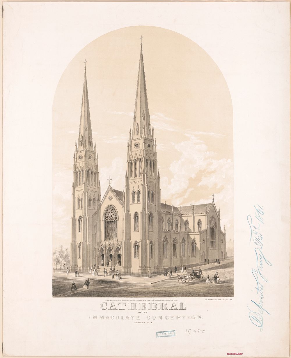 Cathedral of the Immaculate Conception, Albany, N.Y. / lith of A.J. Hoffman & Co. 452 Broadway Albany, N.Y.