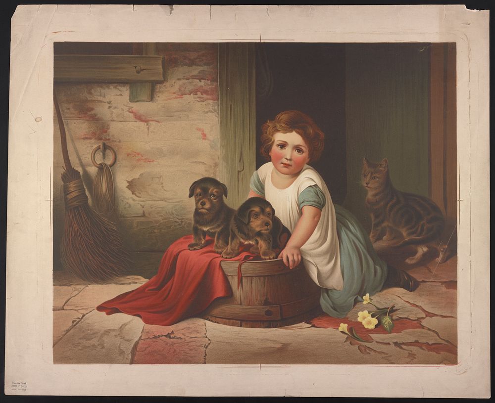 [Small girl leaning against an overturned wash tub on which two puppies have been placed; a cat stands in the doorway…