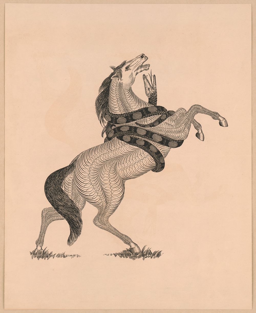 [Spiral horse attacked by snake]