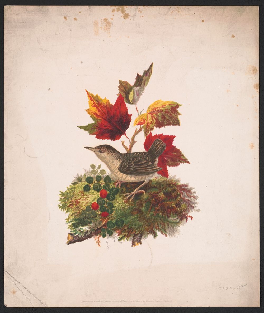 [Bird with autumn foliage], L. Prang & Co., publisher