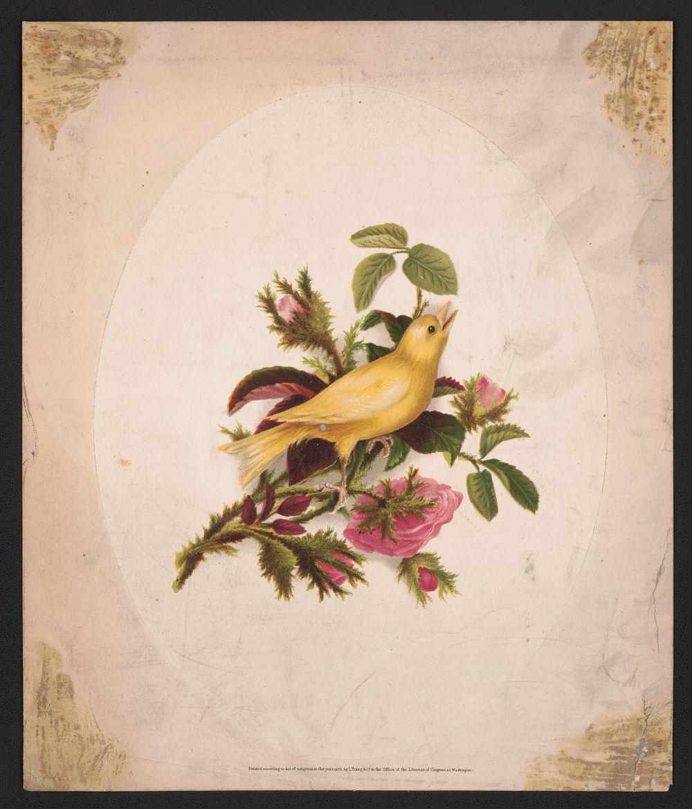 [Yellow bird perched on rose stems], L. Prang & Co., publisher