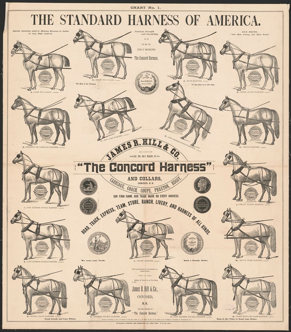 The standard harness of America