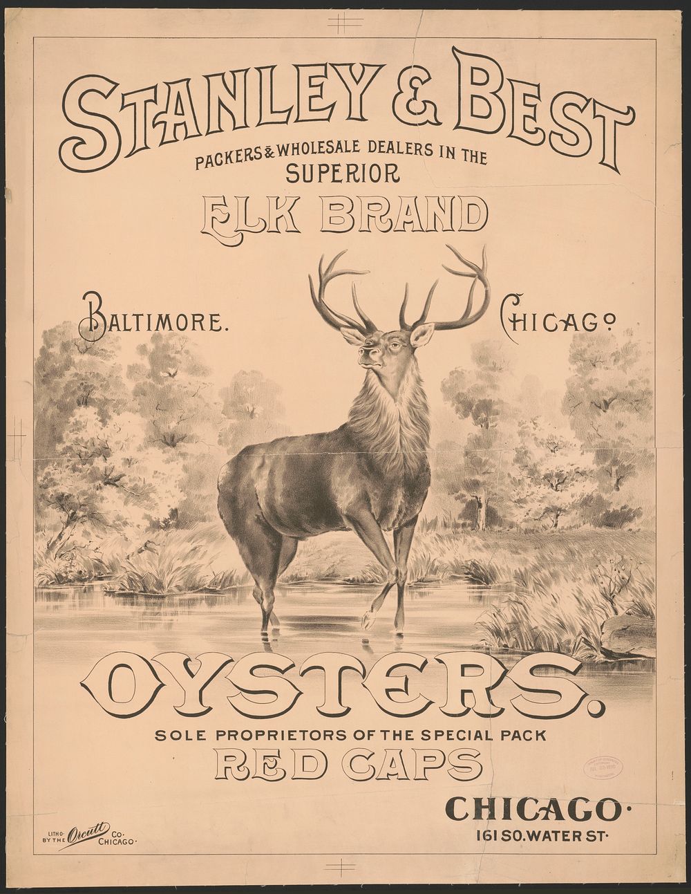 Stanley & Best, packers & wholesale dealers in the superior elk brand oysters