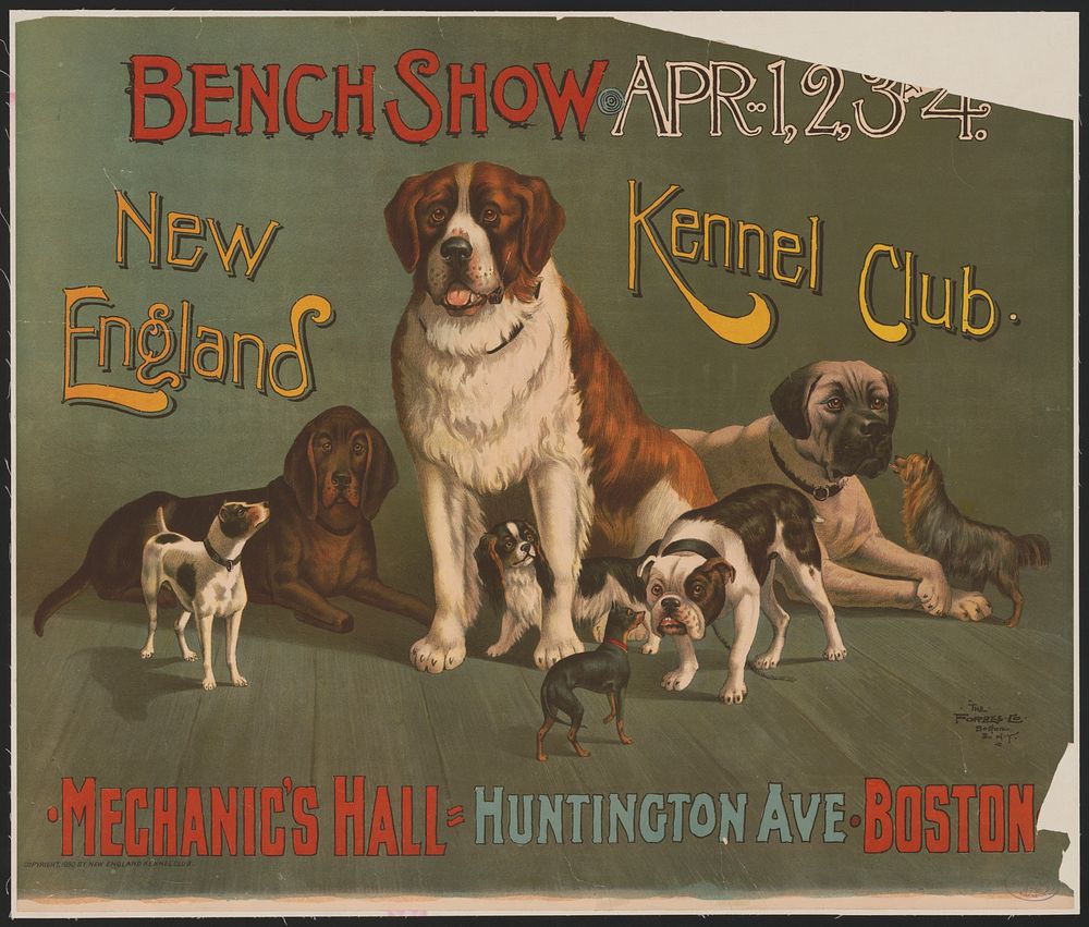 Bench show, Apr. 1, 2, 3, [and] 4, New England kennel club, Mechanic's hall, Huntington Ave, Boston