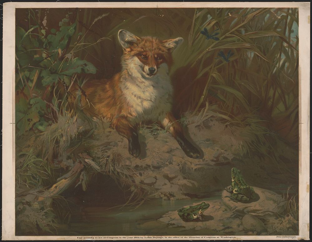 [An image of a red fox, showing his teeth, with two frogs across the stream]