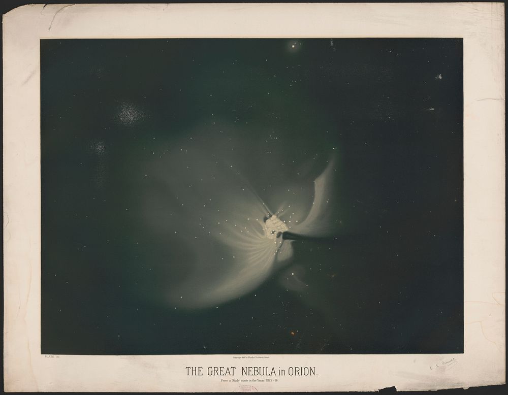The great nebula in Orion, from a study made in the years 1875-76