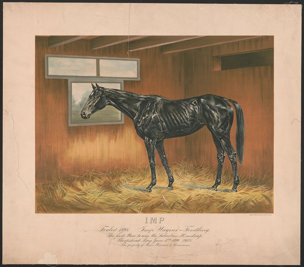 Imp, foaled 1894. Imp. Wagner = Fondling. The first mare to win the Suburban Handicap, Sheepshead Bay, June 17, 1899, 2.05…