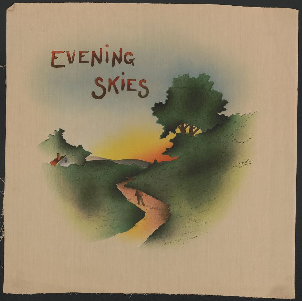 Evening skies