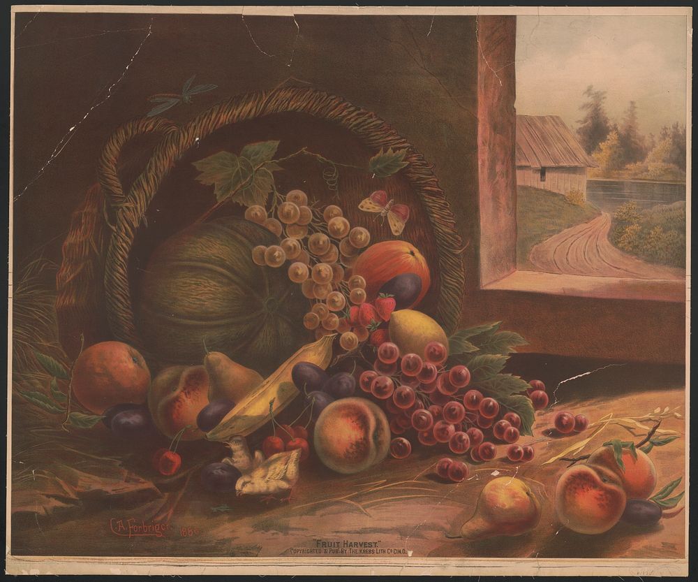 "Fruit harvest"