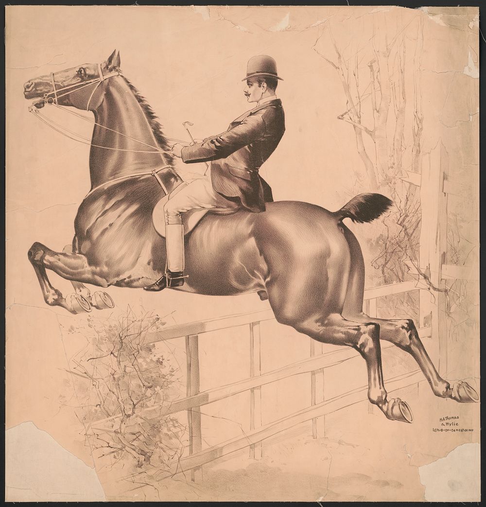 [Single horse and rider jumping over fence]