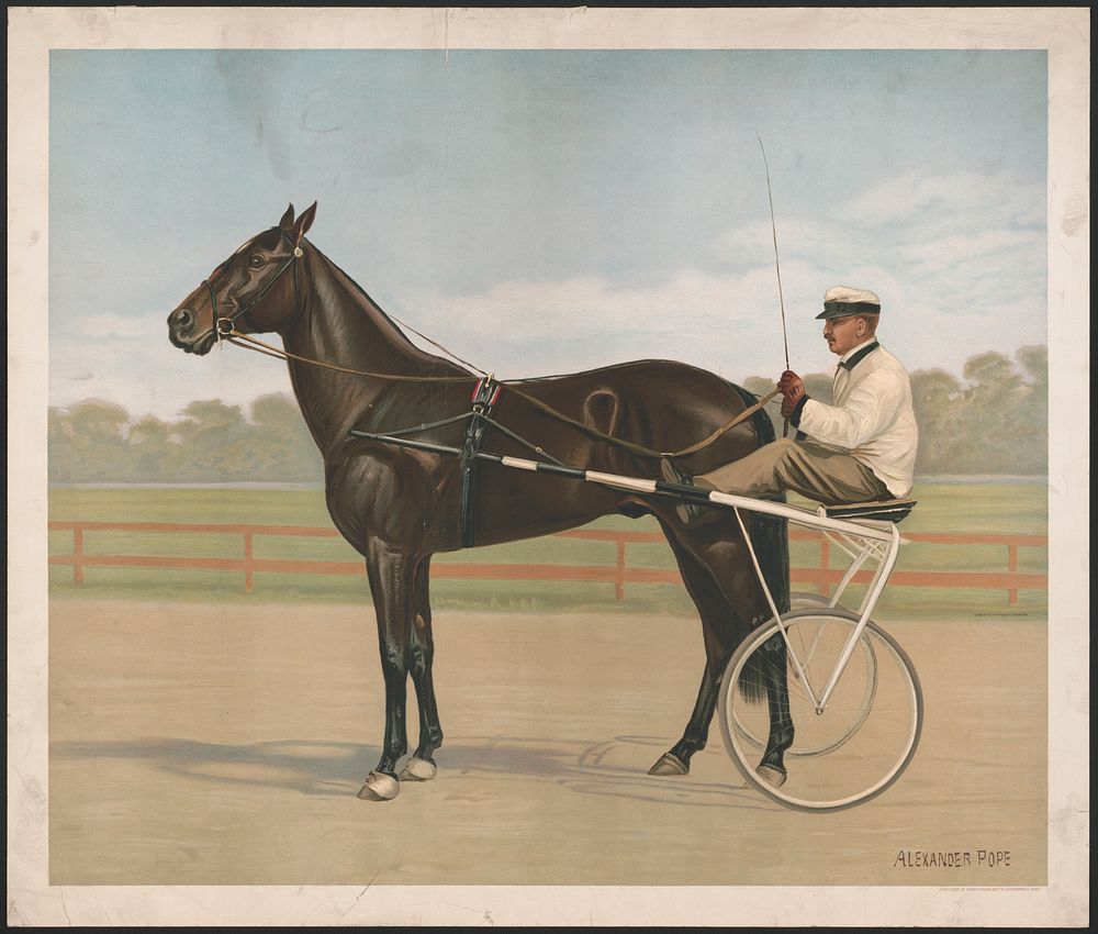 [Harness horse and rider]