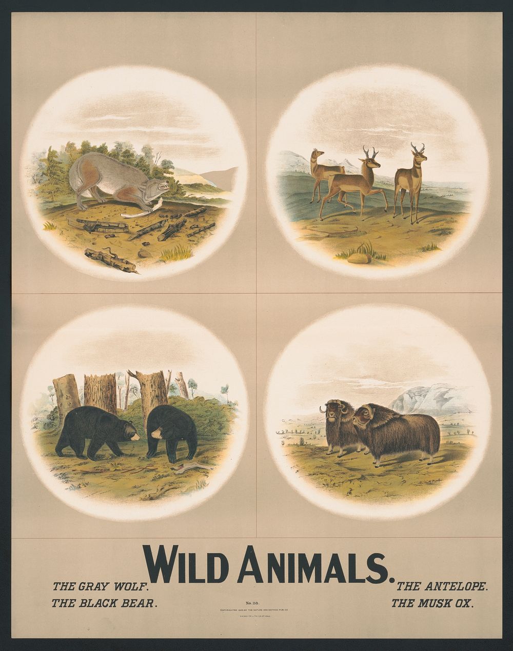 Wild animals no. 28