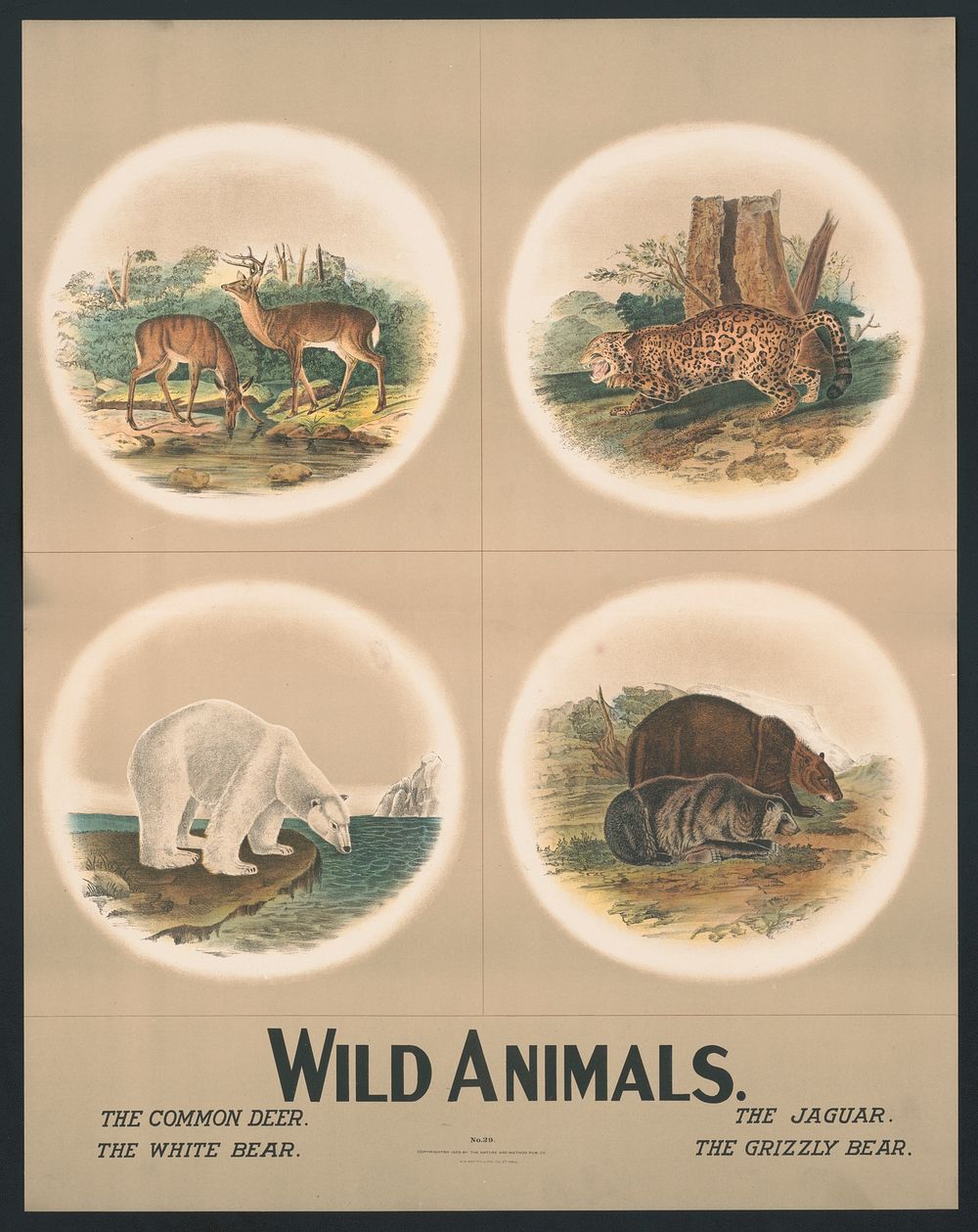 Wild animals no. 29