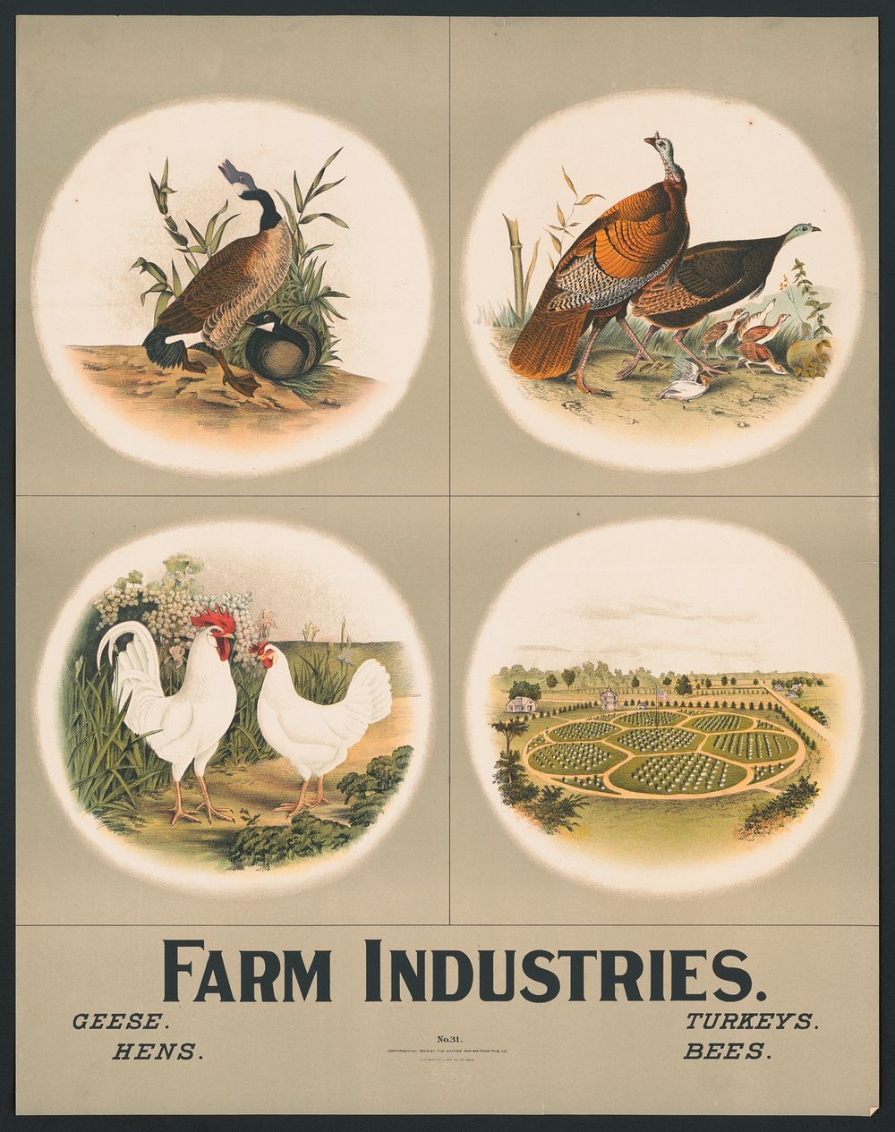 Farm industries no. 31