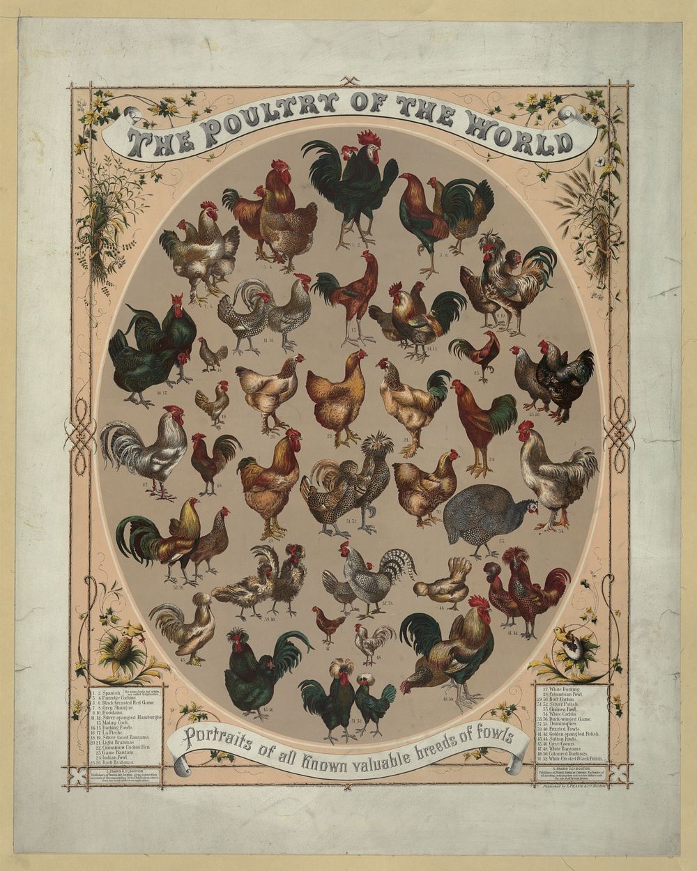 The poultry of the world--Portraits of all known valuable breeds of fowls, L. Prang & Co., publisher