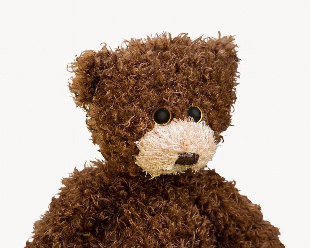 Teddy bear, children's plush toy isolated image