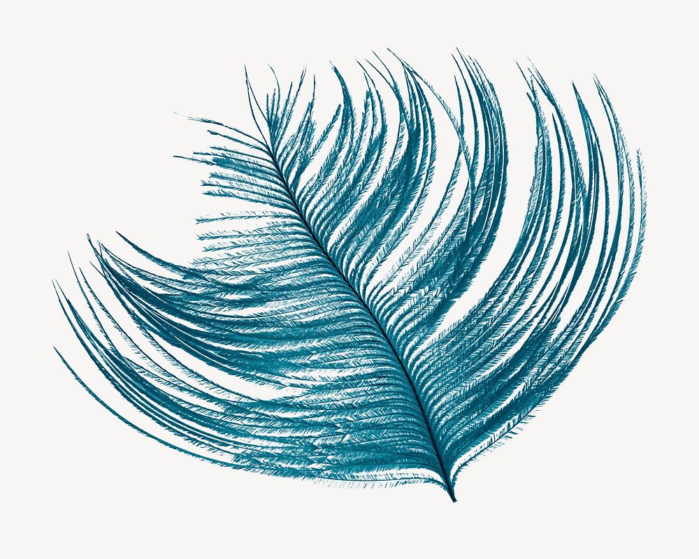 Blue feather collage element, isolated image psd