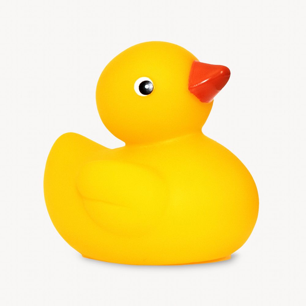 Rubber duck, isolated object image