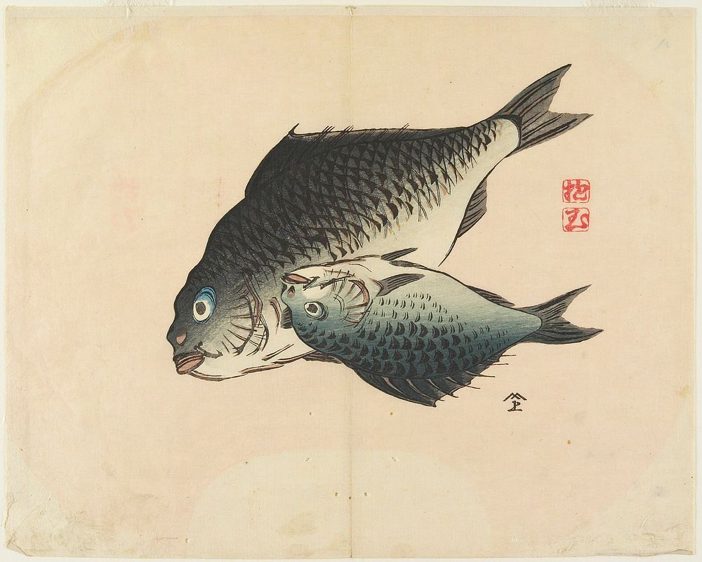 Pair of Fish (1830s) print in high resolution by Yamada Hogyoku.  Original from The Minneapolis Institute of Art.