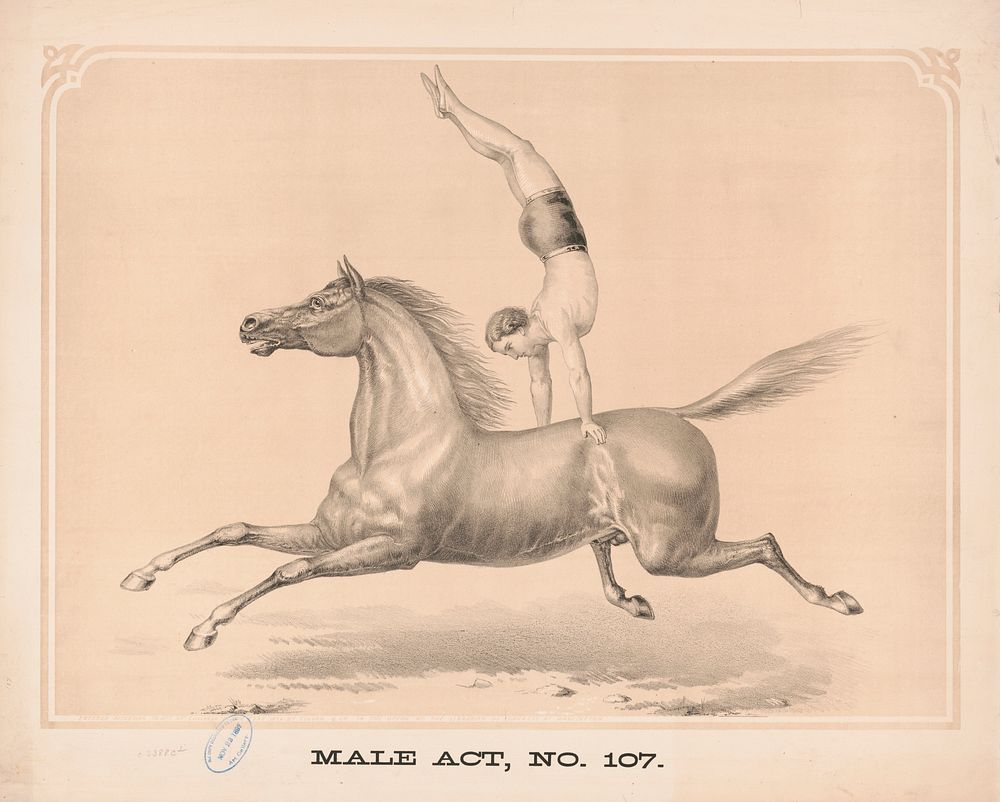 Male act, no. 107, Gibson & Co. (Cincinnati, Ohio)