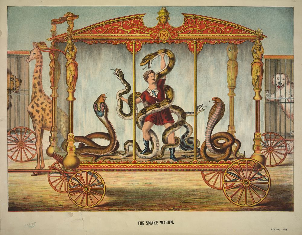 The snake wagon, c1874.