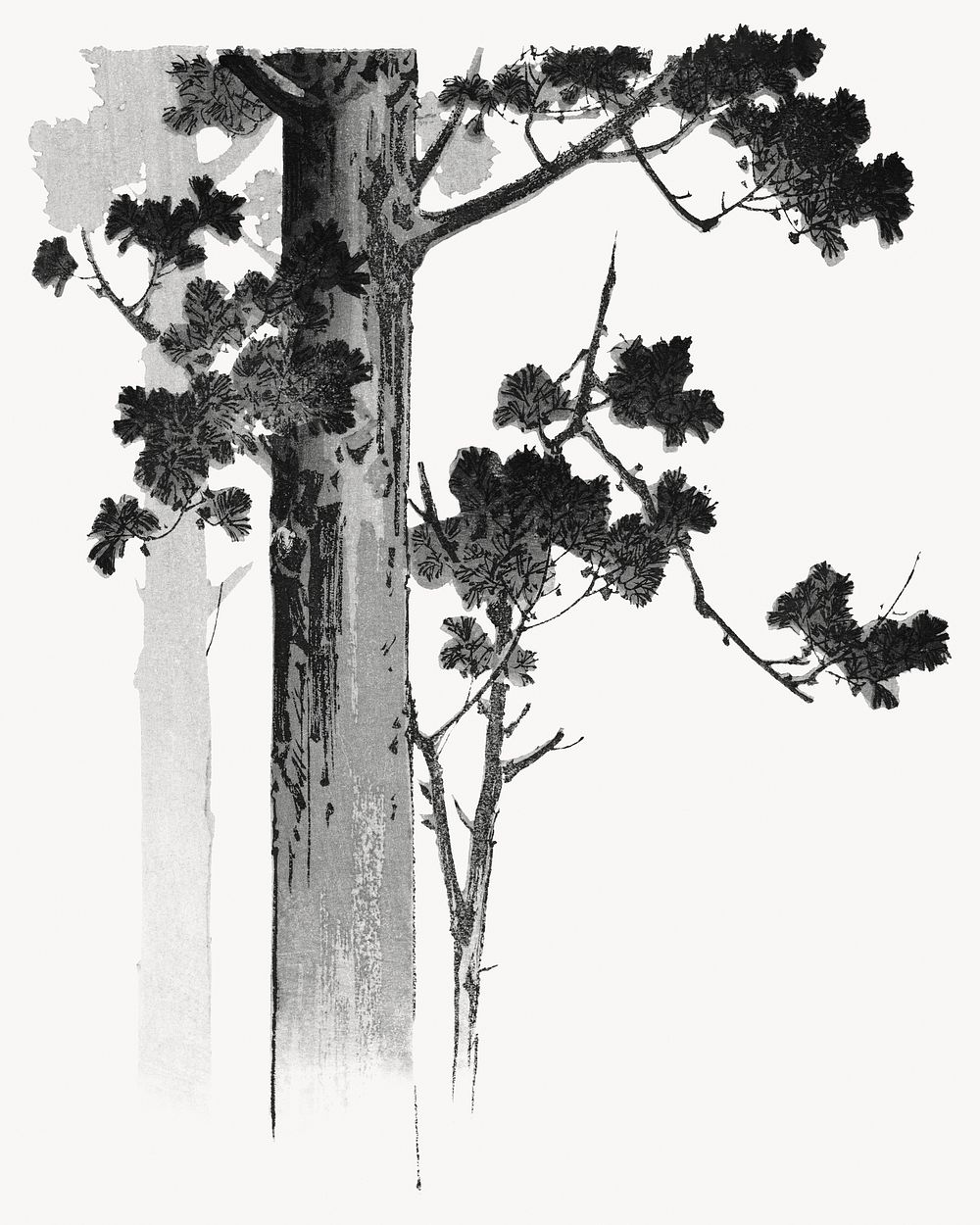Vintage tree. Remixed by rawpixel.